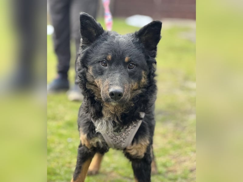 Bessie ein sportlicher Schatz