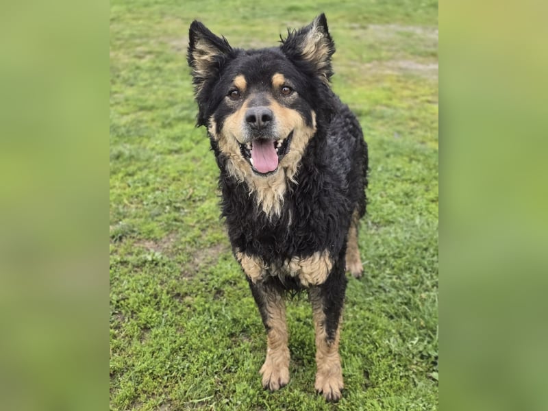 Farmer ein ganz toller Schatz