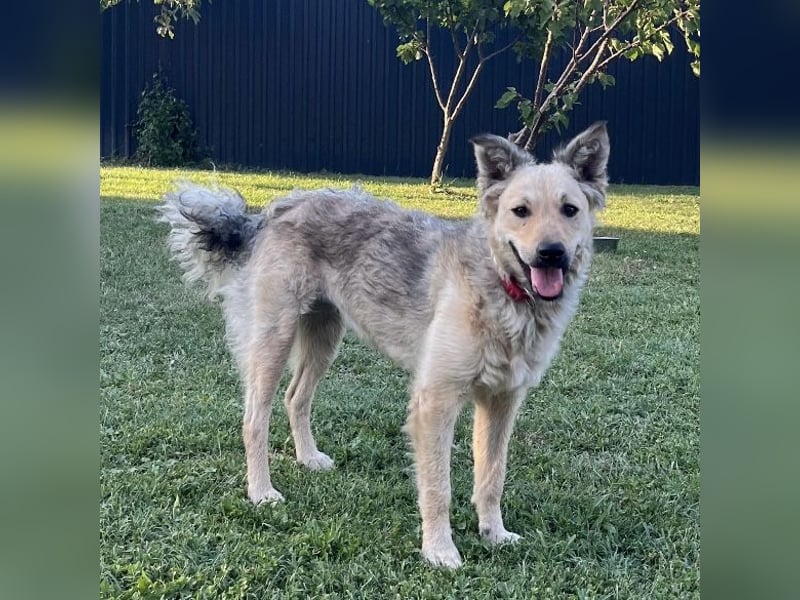 Lada eine gefangene Seele