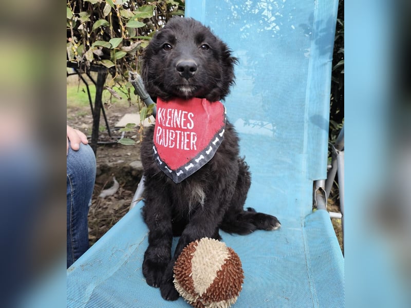 Kiko ein wundervoller Schatz Kiko ein wundervoller Schatz