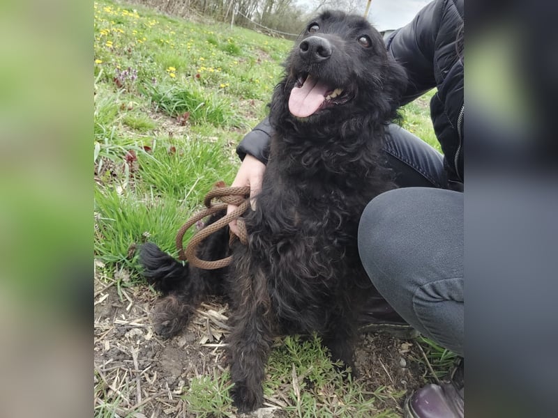 Merida eine wundervolle Seele