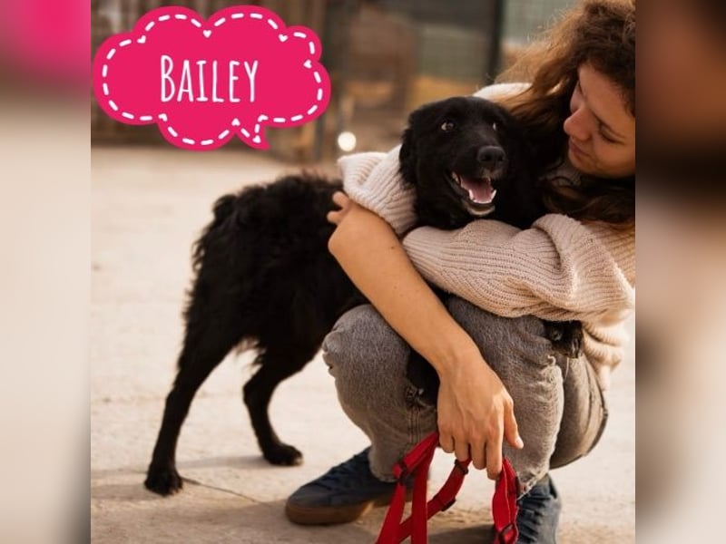 Bailey hofft auf eine Familie