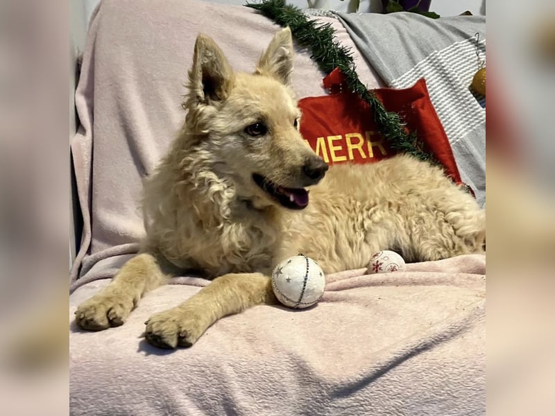 Milky ein sportlicher Bub