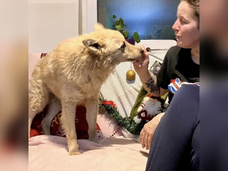 Milky ein sportlicher Bub