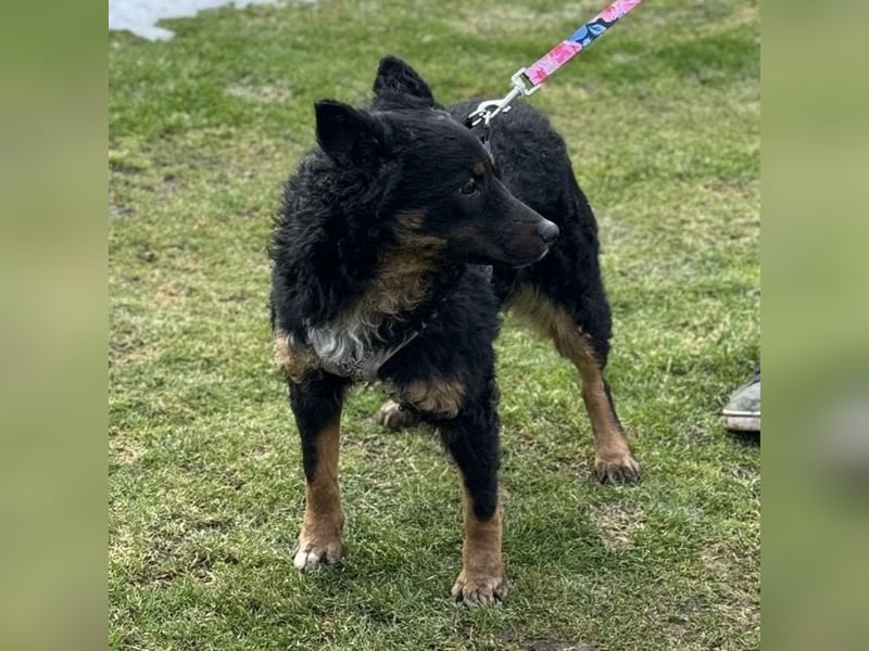 Bessie ein sportlicher Schatz