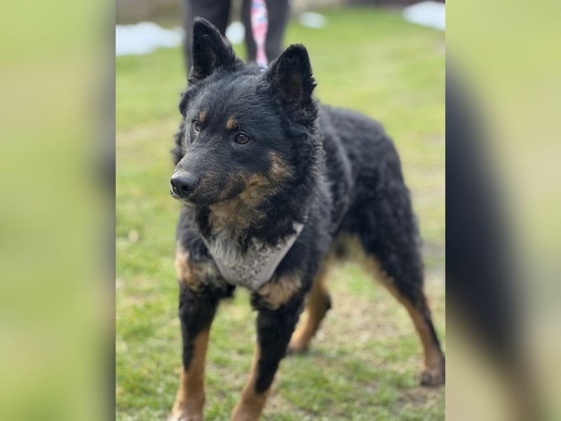 Bessie ein sportlicher Schatz