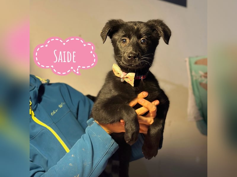 Saide ein freundliches Mädchen