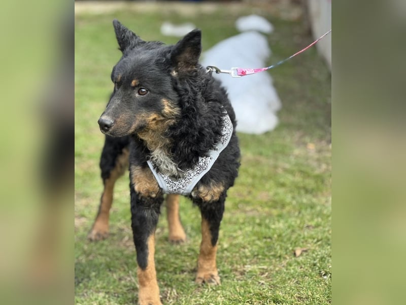 Bessie ein sportlicher Schatz