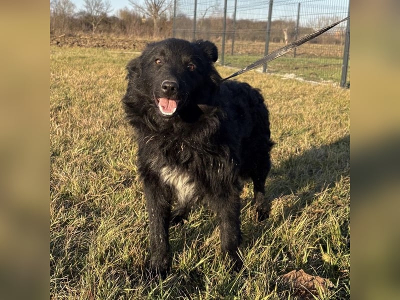 Dobri wartet viel zu lange
