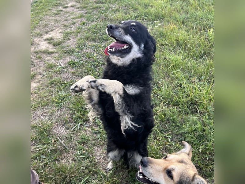 Kika ein Traumwesen