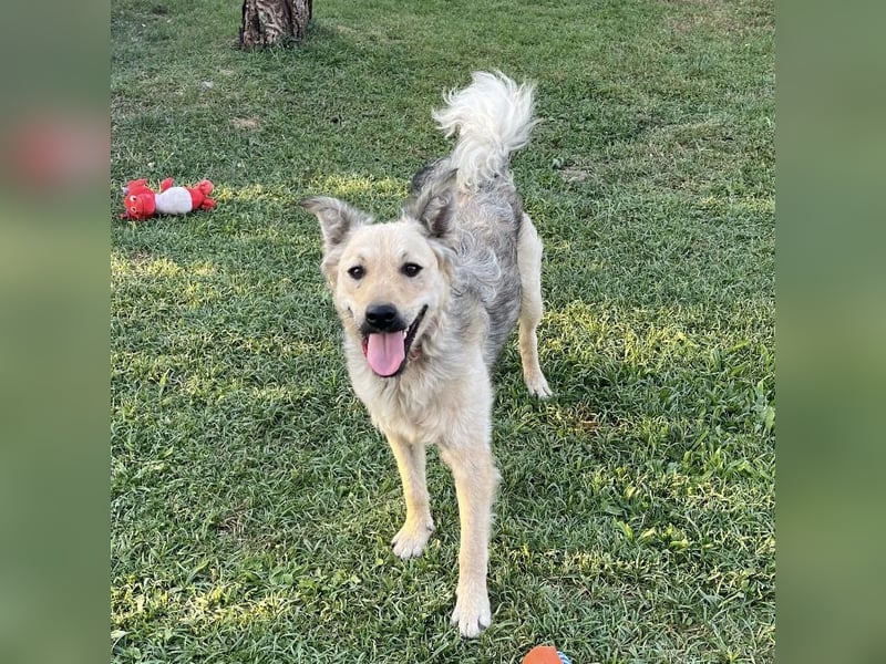 Lada eine gefangene Seele