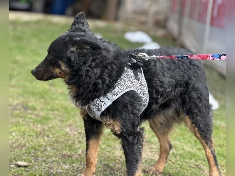 Bessie ein sportlicher Schatz