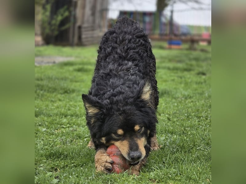 Farmer ein ganz toller Schatz