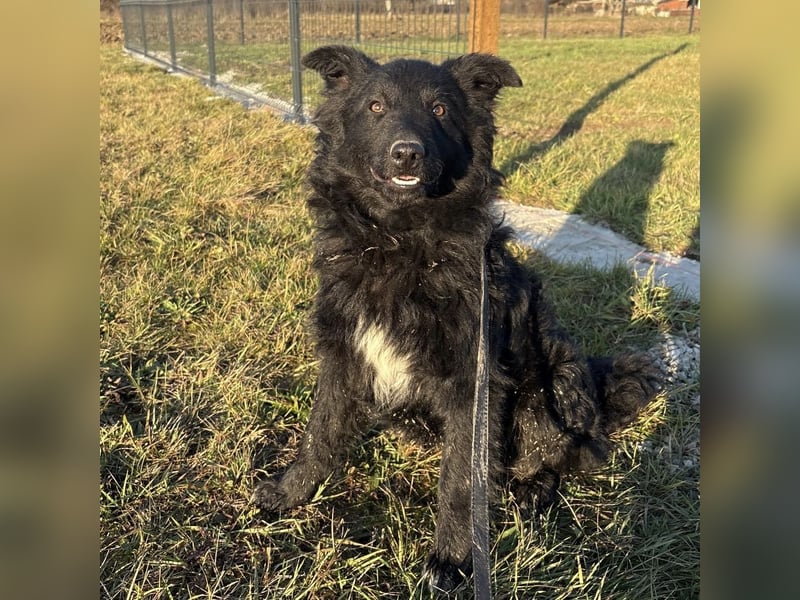 Dobri wartet viel zu lange