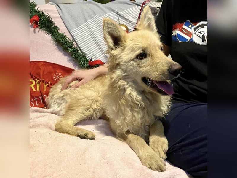 Milky ein sportlicher Bub