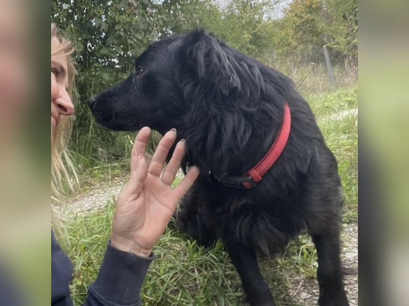 Beni sucht nach Liebe und Geborgenheit