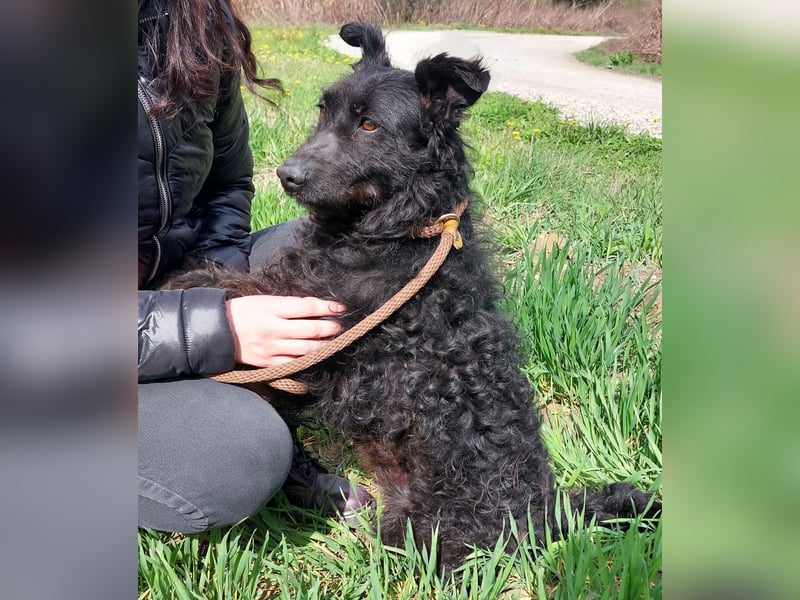 Merida eine wundervolle Seele