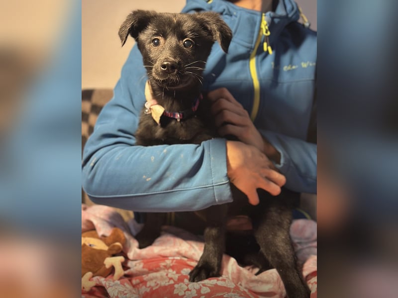 Saide ein freundliches Mädchen