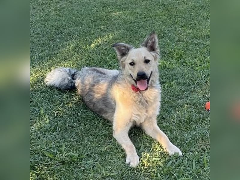 Lada eine gefangene Seele