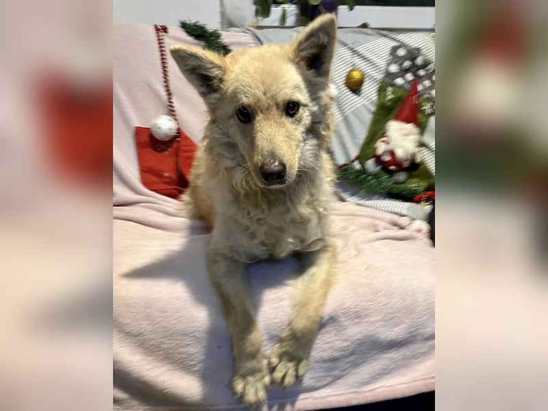 Milky ein sportlicher Bub