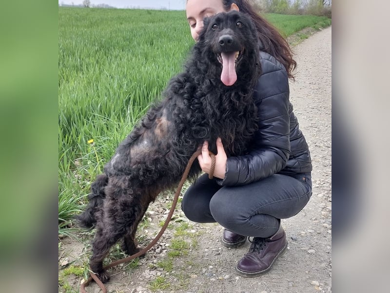 Merida eine wundervolle Seele