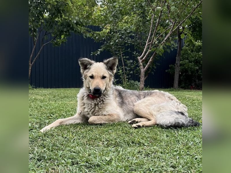 Lada eine gefangene Seele