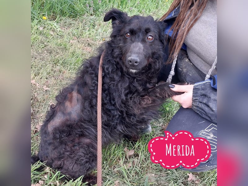 Merida eine wundervolle Seele