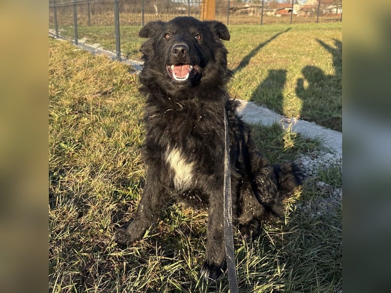 Dobri wartet viel zu lange