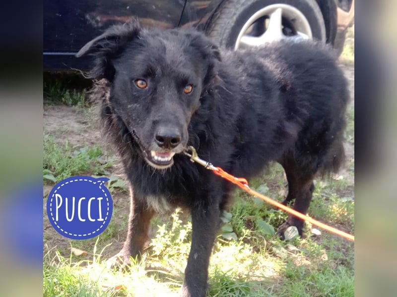 Pucci ein schwarzer Schatz