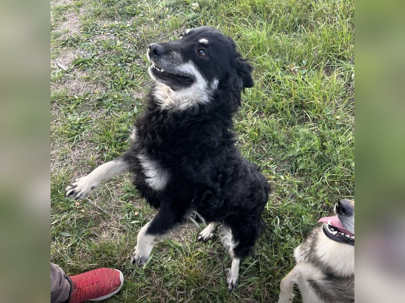 Kika ein Traumwesen