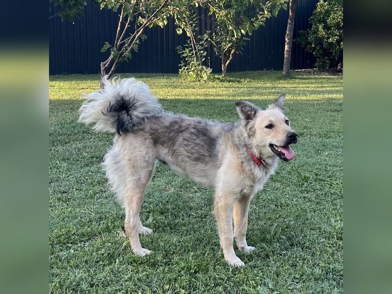 Lada eine gefangene Seele