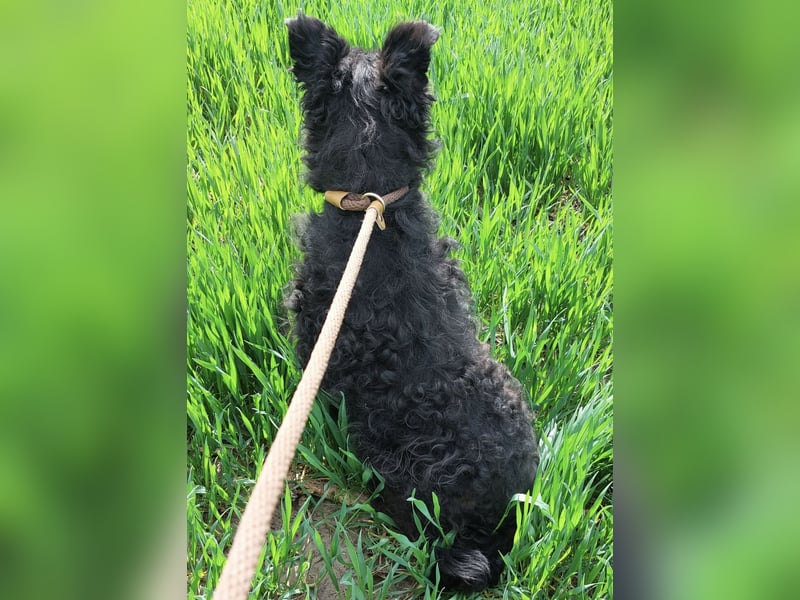 Merida eine wundervolle Seele