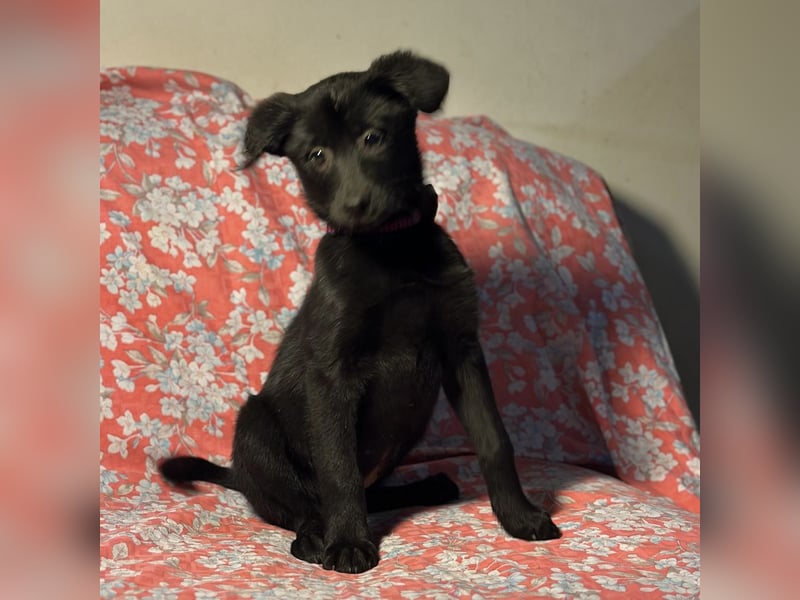 Saide ein freundliches Mädchen