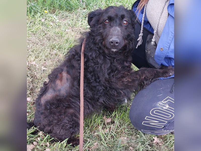 Merida eine wundervolle Seele