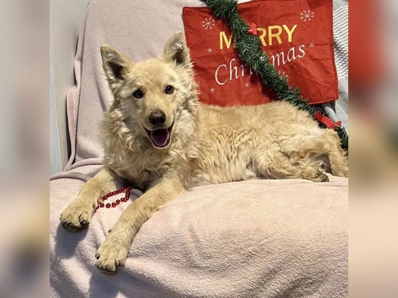 Milky ein sportlicher Bub