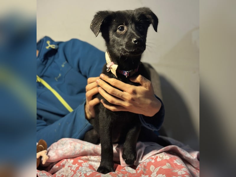 Saide ein freundliches Mädchen