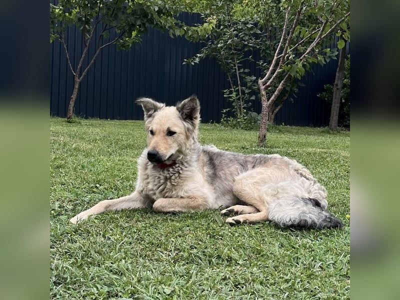 Lada eine gefangene Seele