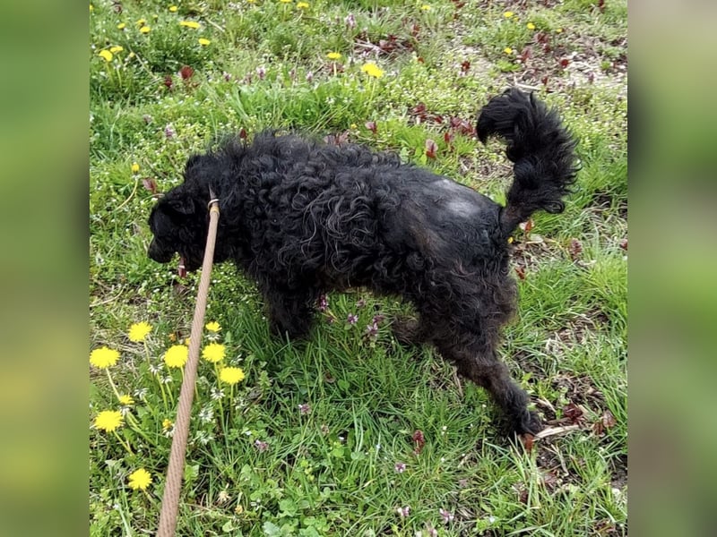 Merida eine wundervolle Seele