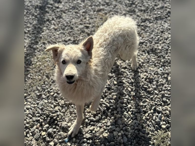 Tibor ein blonder verspielter Bub