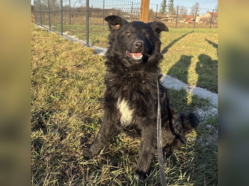 Dobri wartet viel zu lange