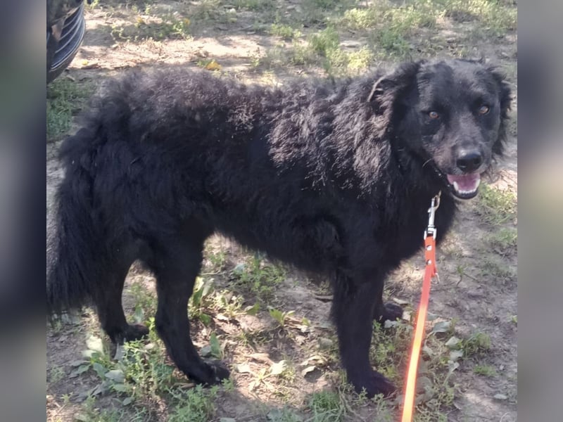 Pucci ein schwarzer Schatz