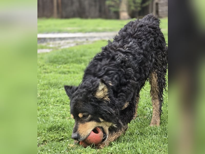 Farmer ein ganz toller Schatz
