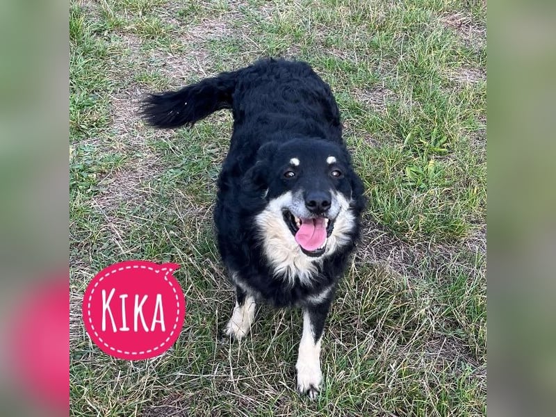 Kika ein Traumwesen
