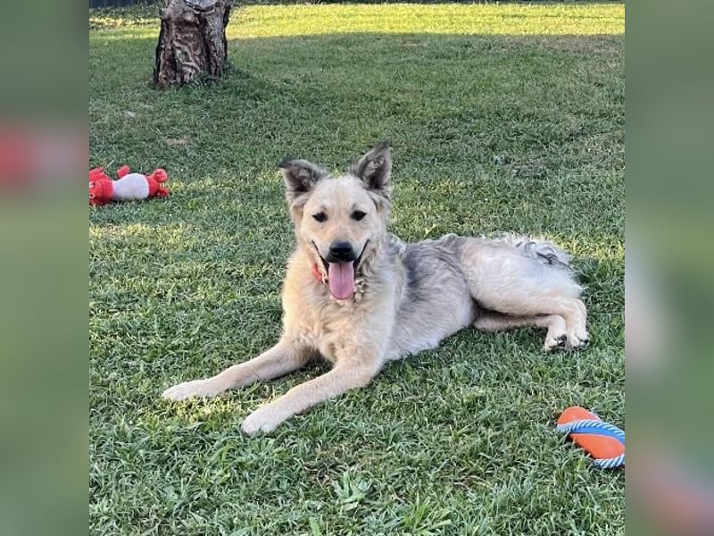 Lada eine gefangene Seele