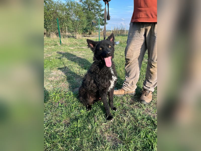 Abel, geboren 01.05.2023, 54cm sucht sein Glück