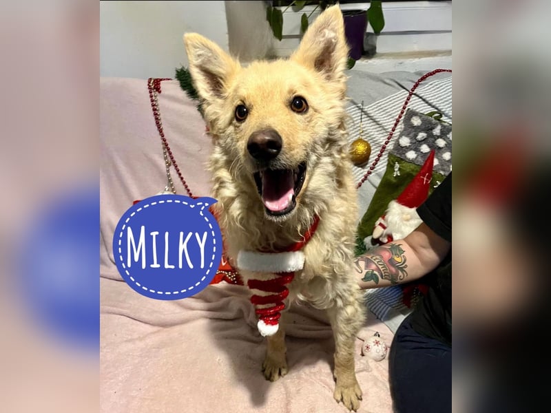 Milky ein sportlicher Bub