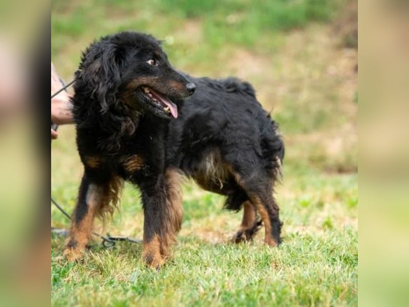 Zeyko