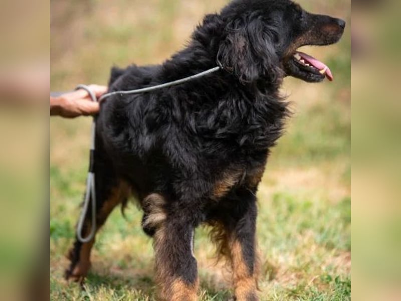 Zeyko