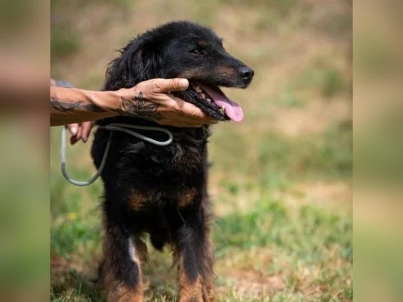 Zeyko
