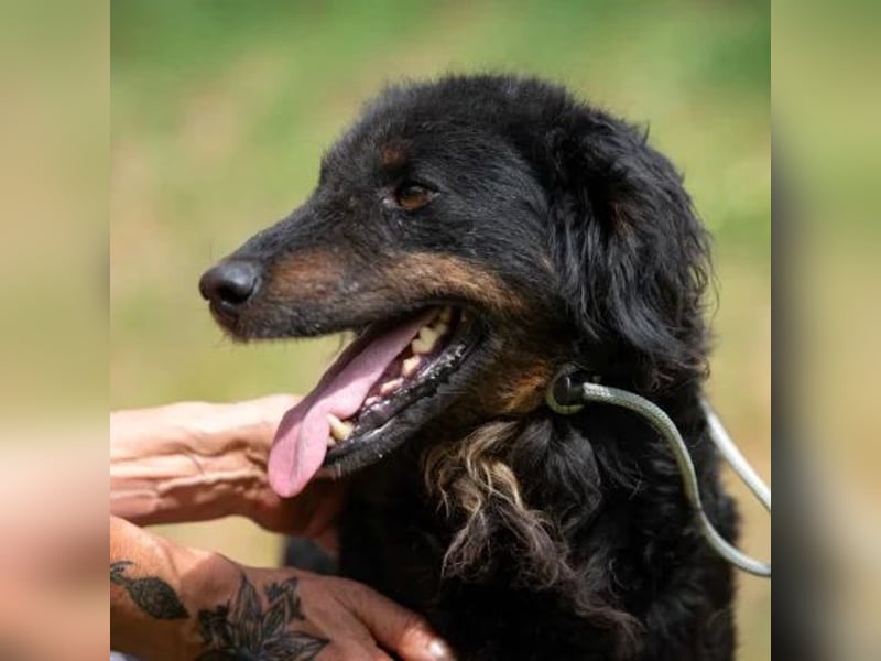 Zeyko